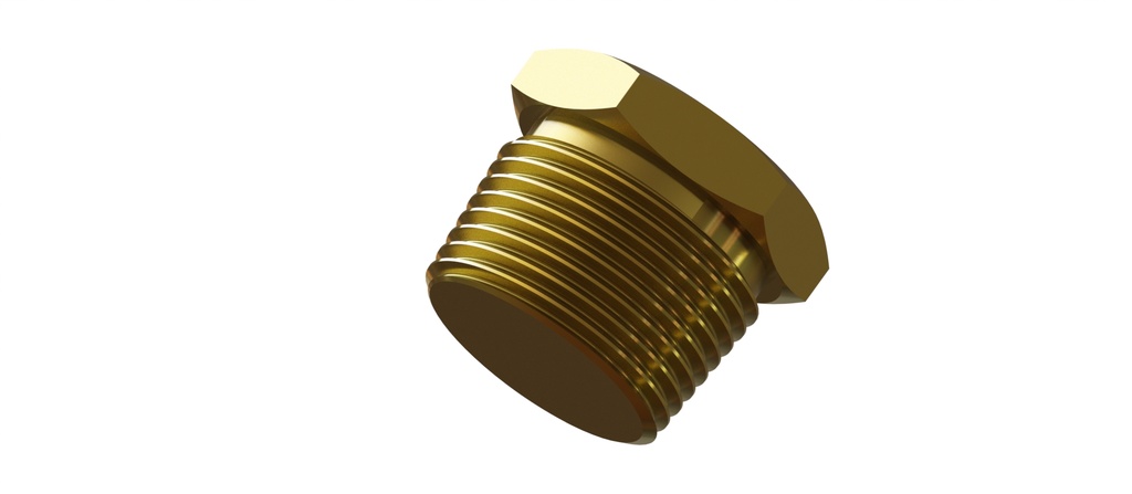 BOUCHON OBT. DN25 M. 1" NF540 8245013